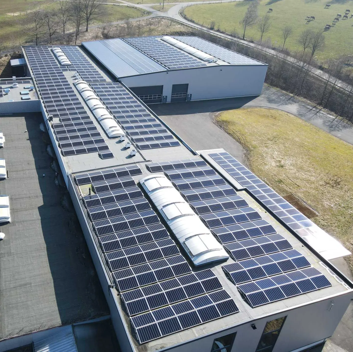 PV-Dachanlage zwischen Oberlichtern einer Produktionshalle