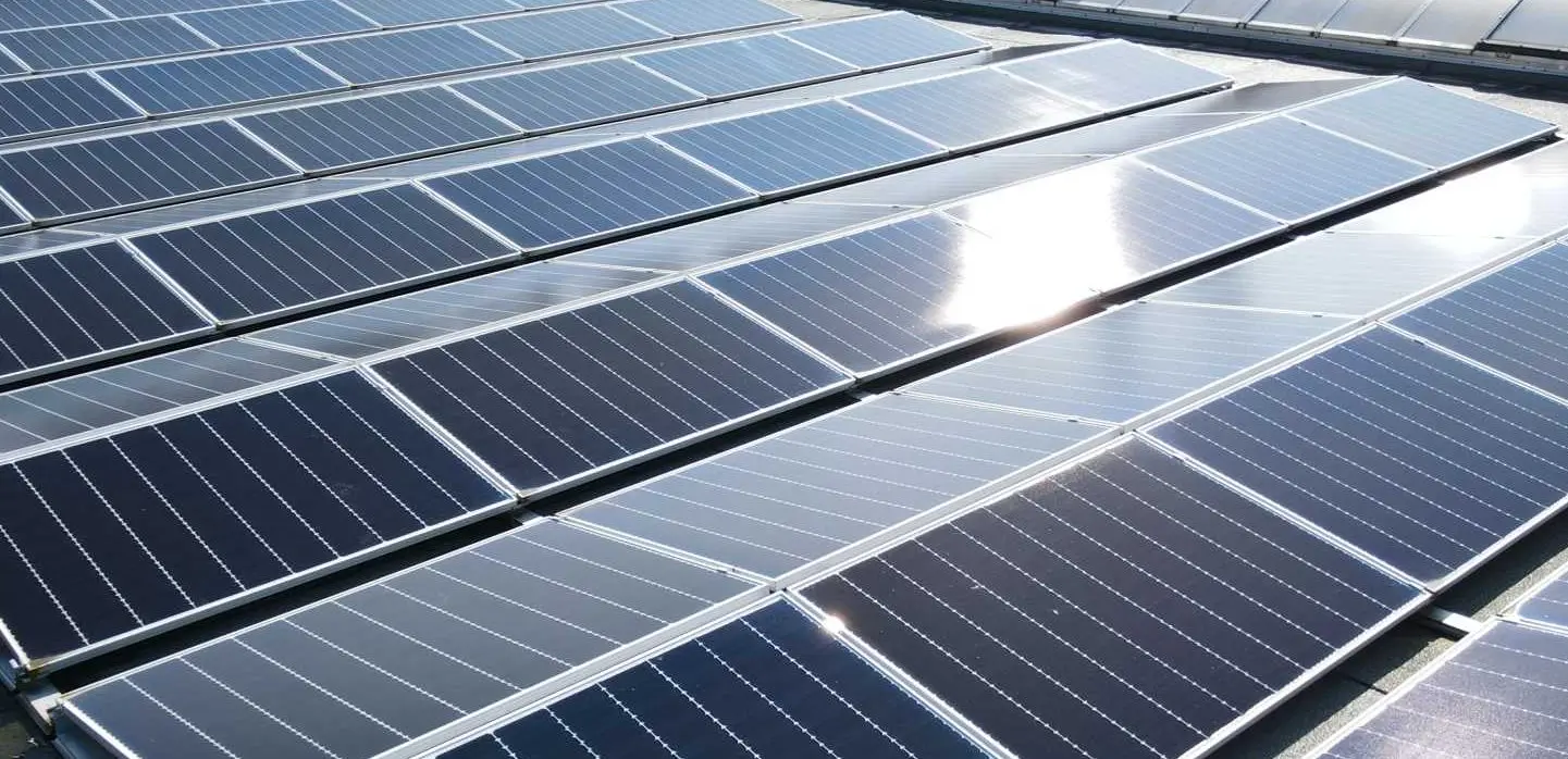 Nahaufnahme von Photovoltaik-Modulen auf einem Hallendach